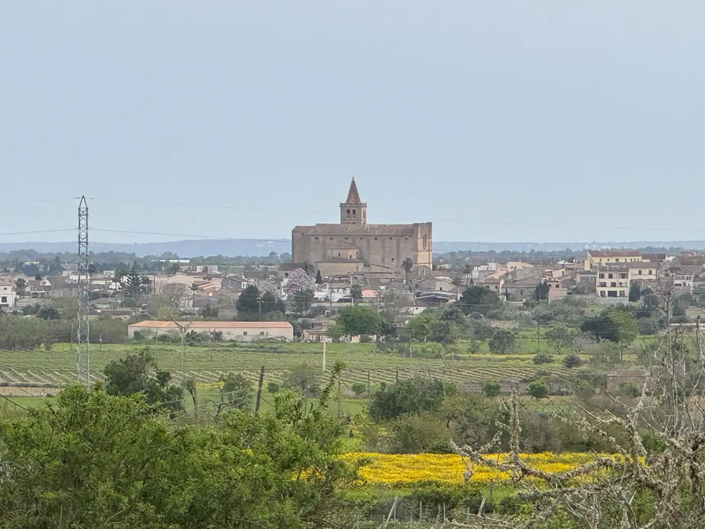 Rustikales Grundstück zum Verkauf in Camino Camí Vell de Porreres 2, imagen 6