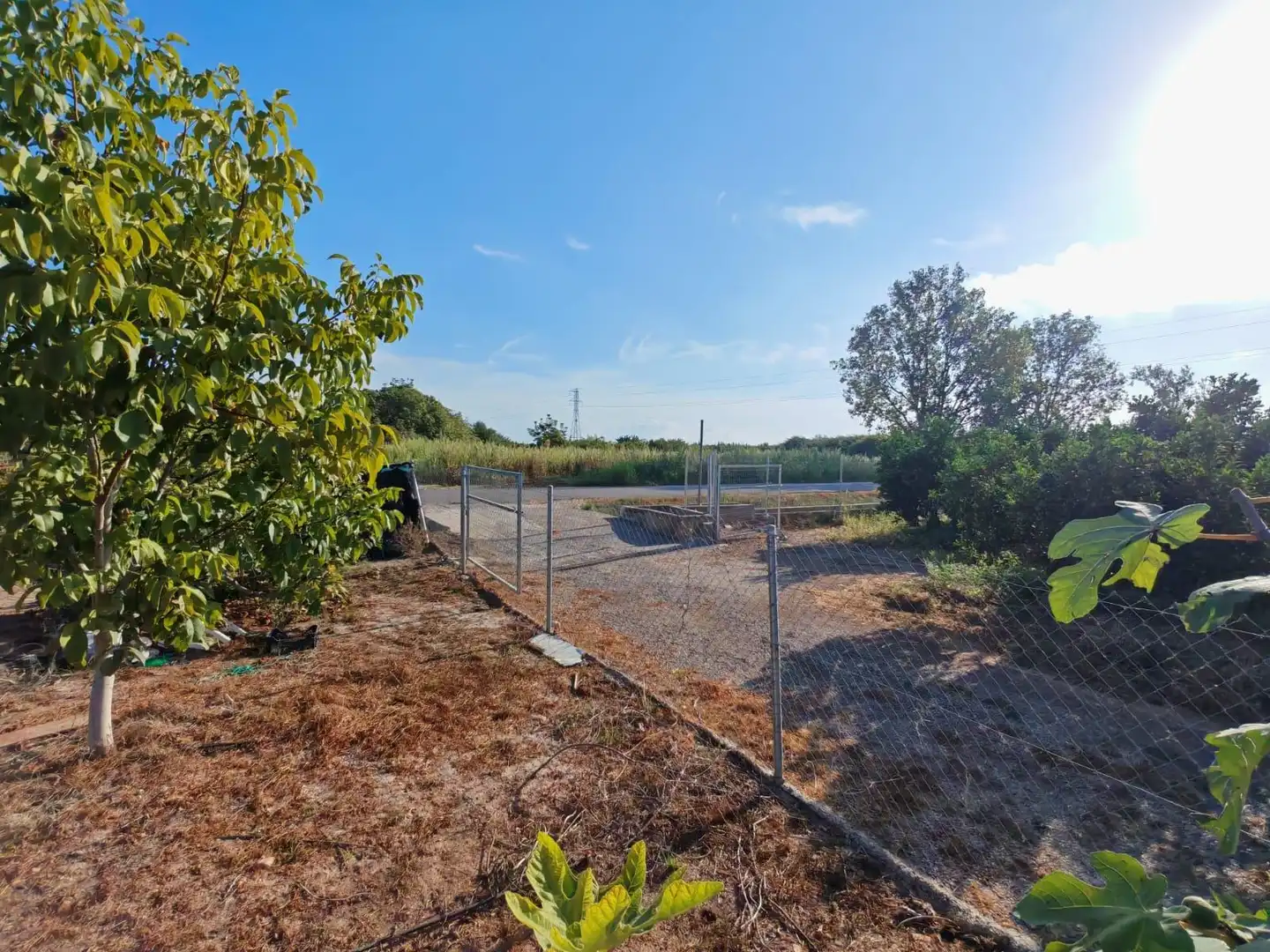 Rural land for sale in Benavites, imagen 18