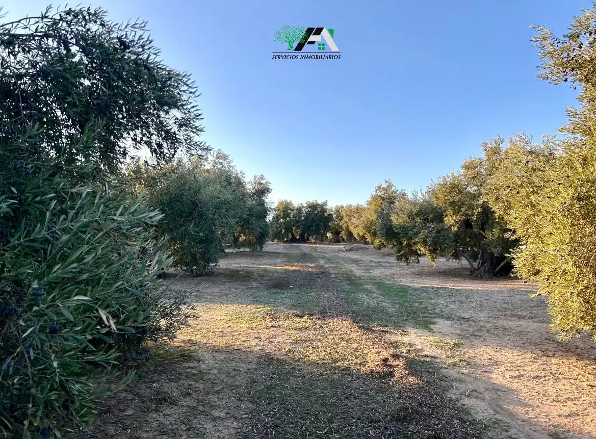 Terreno en venta en Ibros