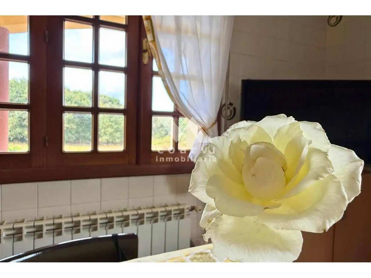 Maison avec jardin à vendre à Calle acea, imagen 66