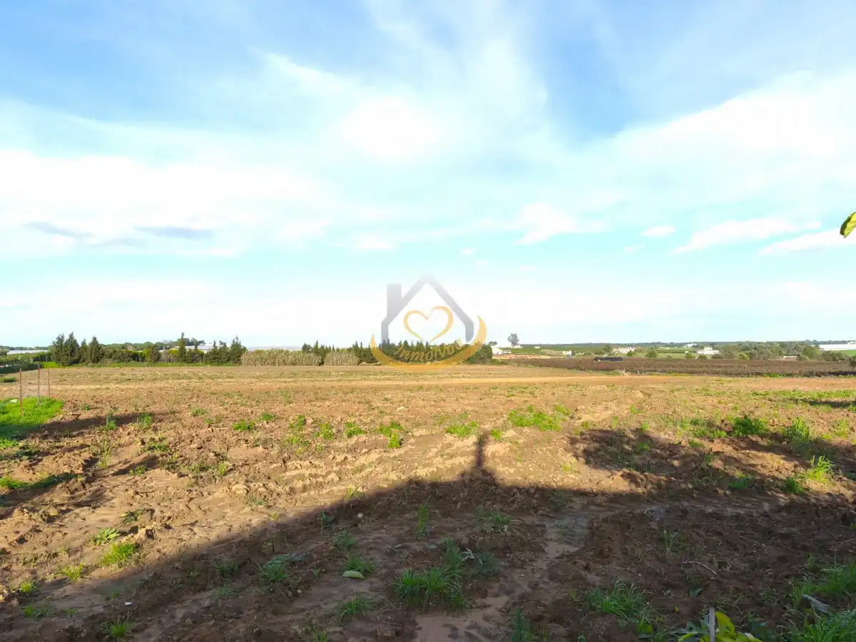 Terrenos y solares en venta en Núcleo urbano, imagen 36