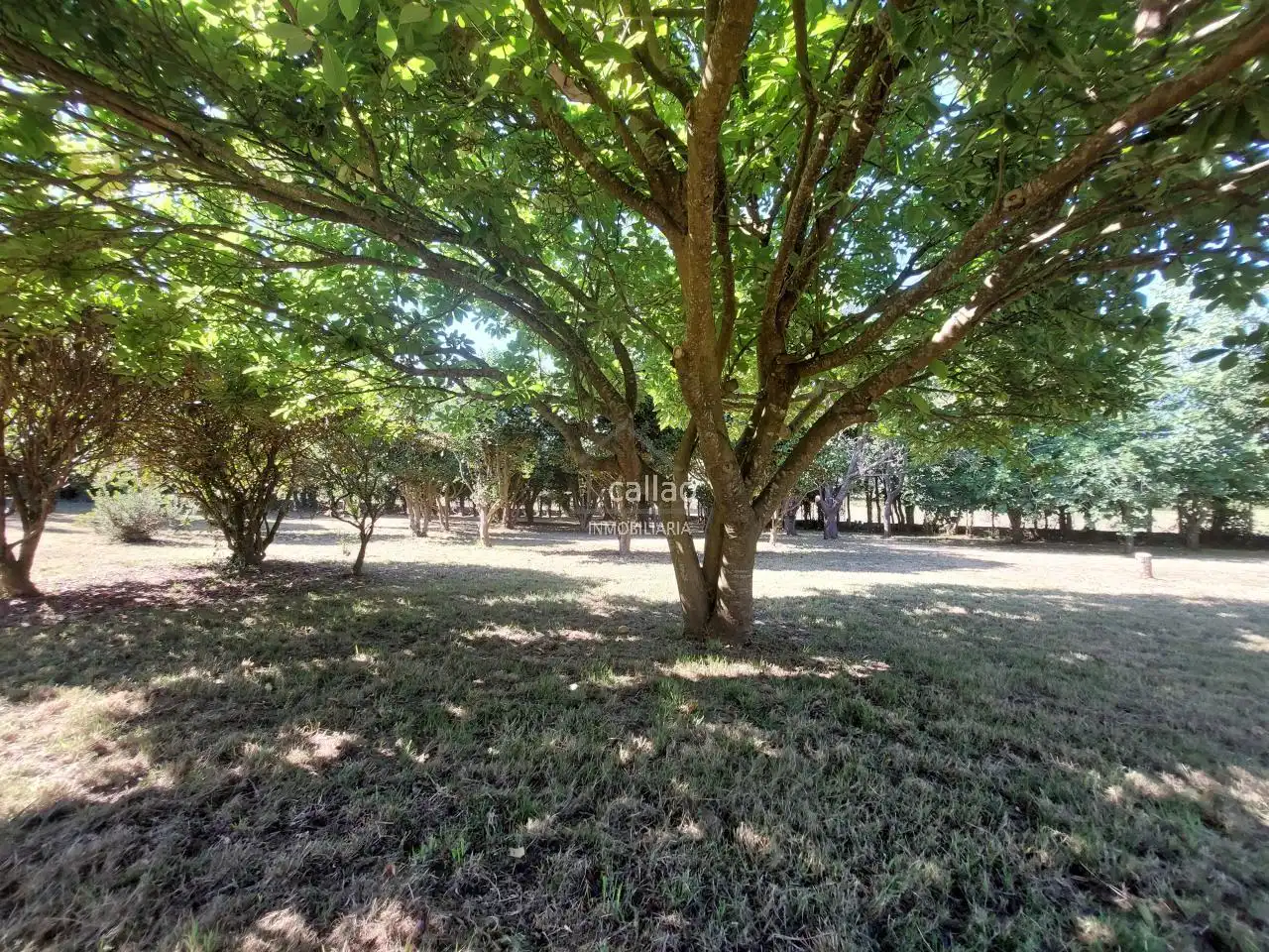 Casa o chalet en venta en Narón con Calefacción, Jardín privado y Piscina