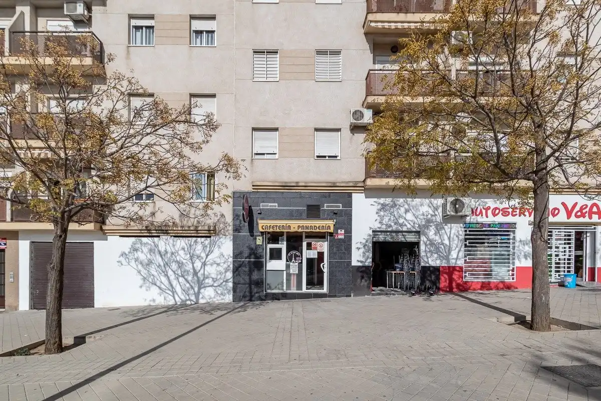 Exterior view of Commercial properties for sale in Granada  with Furnished