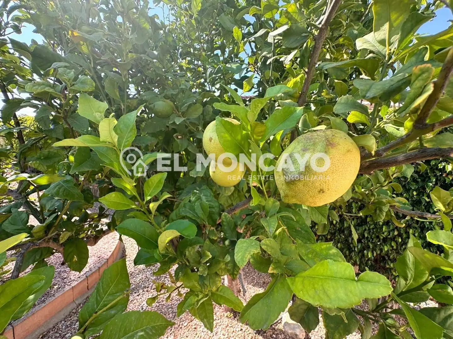 Casa o xalet en venda en Rojales amb Aire condicionat, Calefacció i Jardí privat