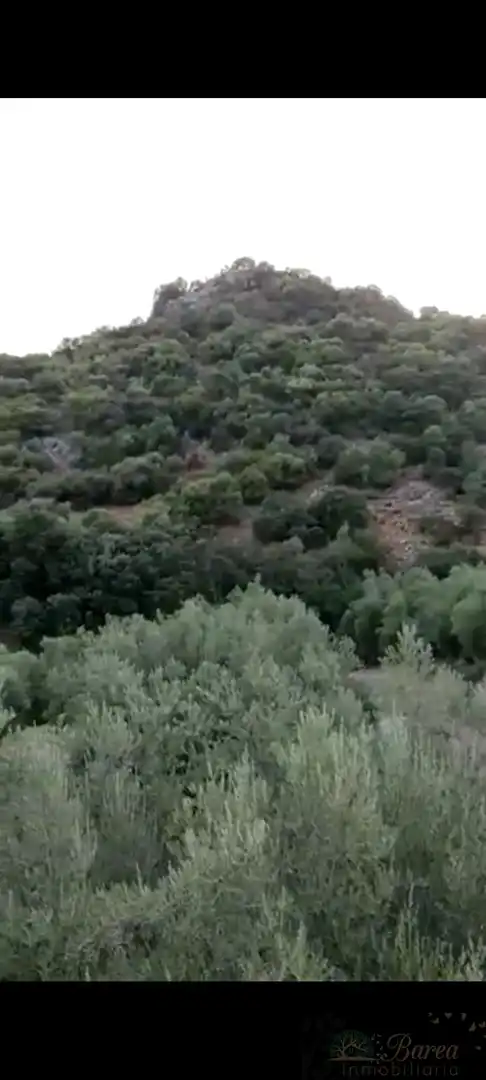 Casa o xalet en venda en Rute