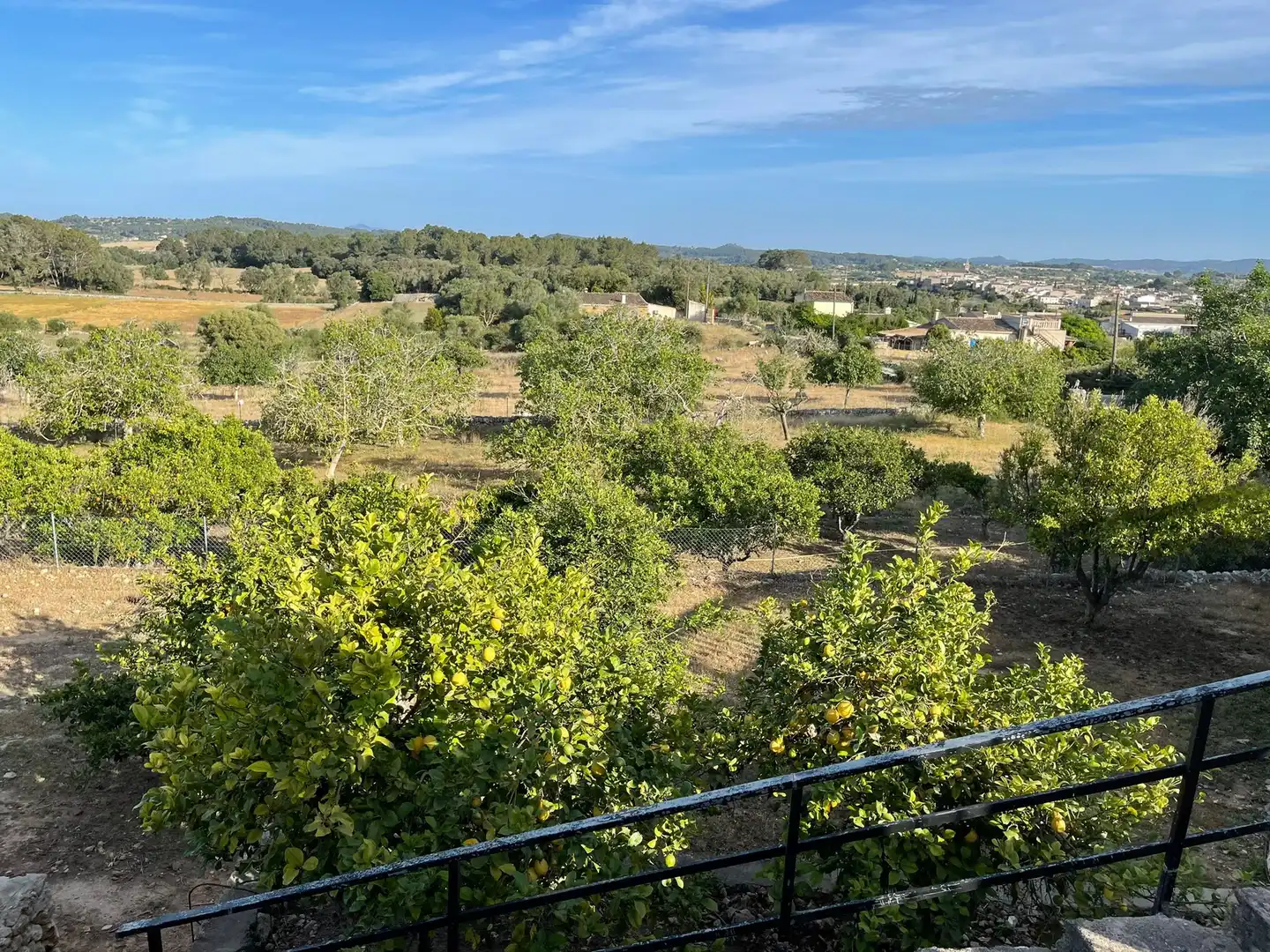 Finca rústica en venda a Lloret de Vistalegre