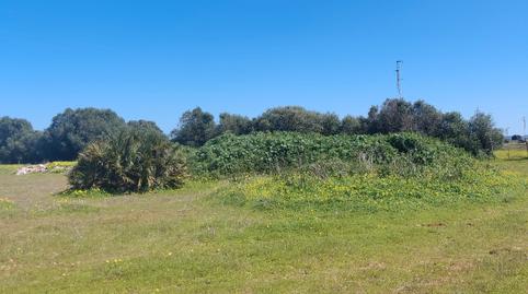 Photo 2 of Building for sale in Benalup-Casas Viejas, Cádiz