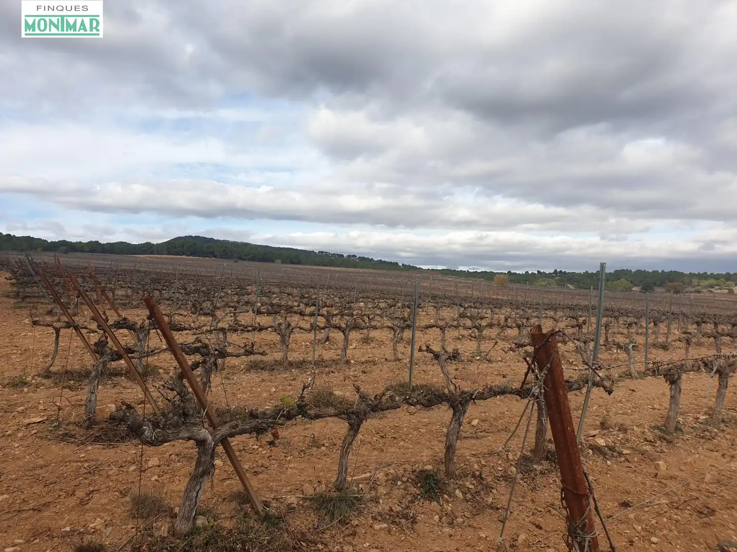 Finca rústica en venda en Vilafranca del Penedès