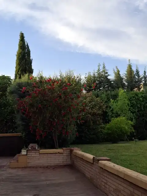 Jardín de Casa o chalet en venta en Córdoba con Aire acondicionado, Calefacción y Jardín privado