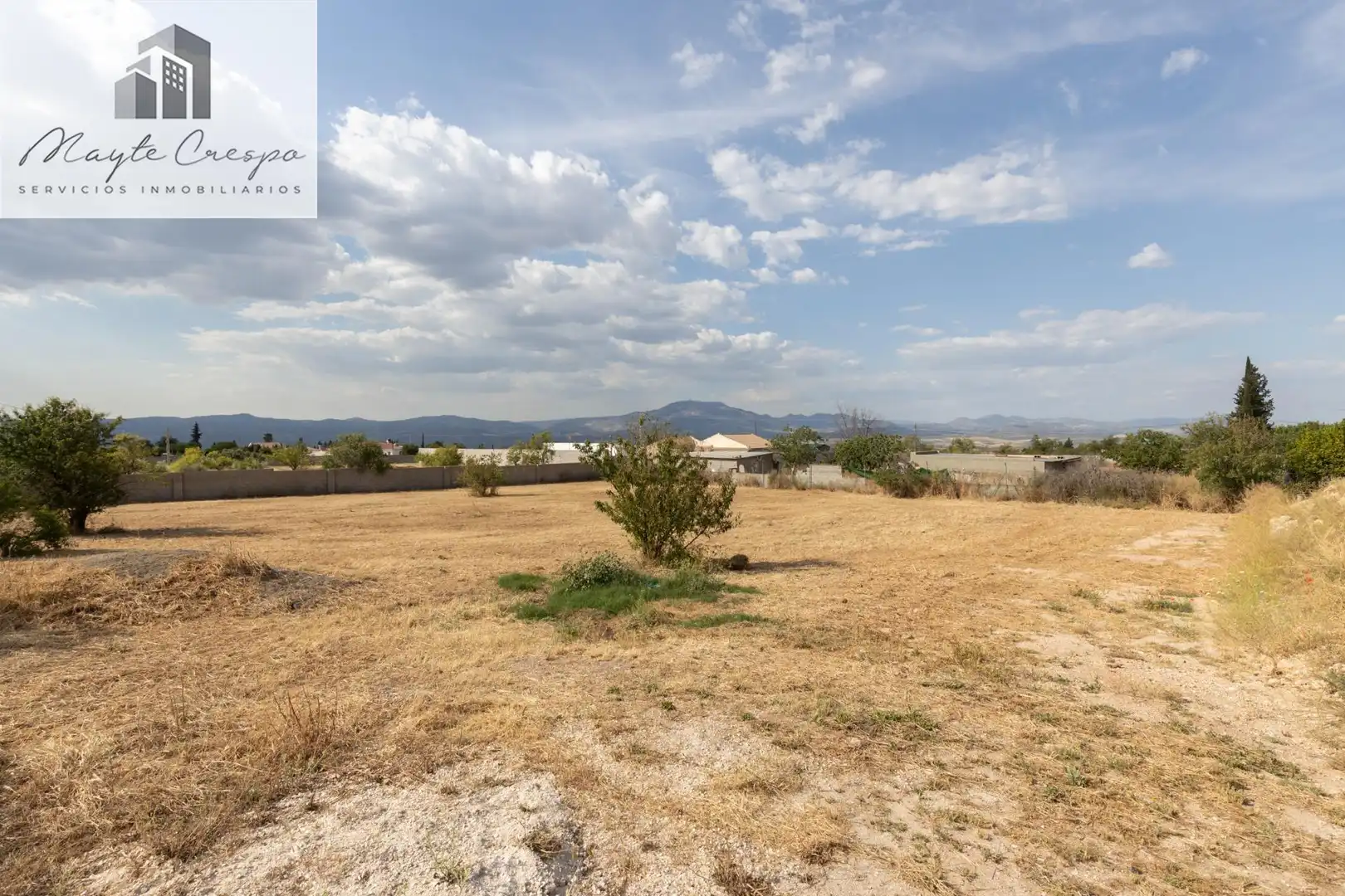 Rural land for sale in Moraleda de Zafayona, imagen 2