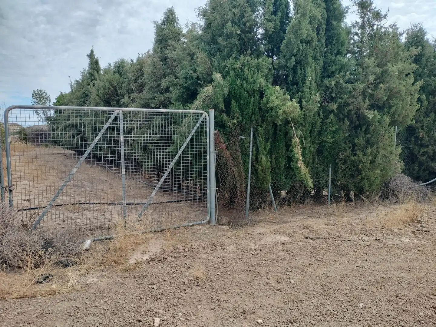 Terreno rústico en venta en La Malahá, imagen 18