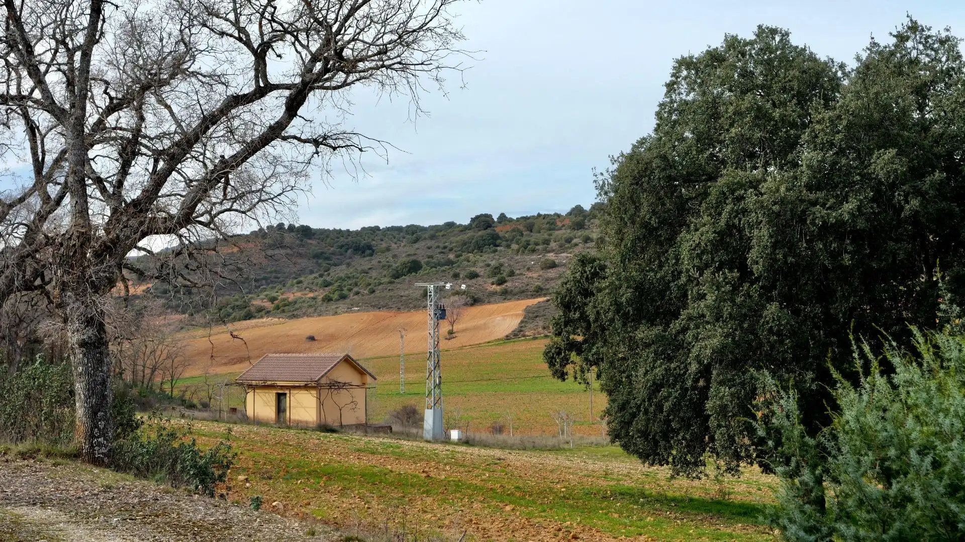 Land for sale in Arbancón