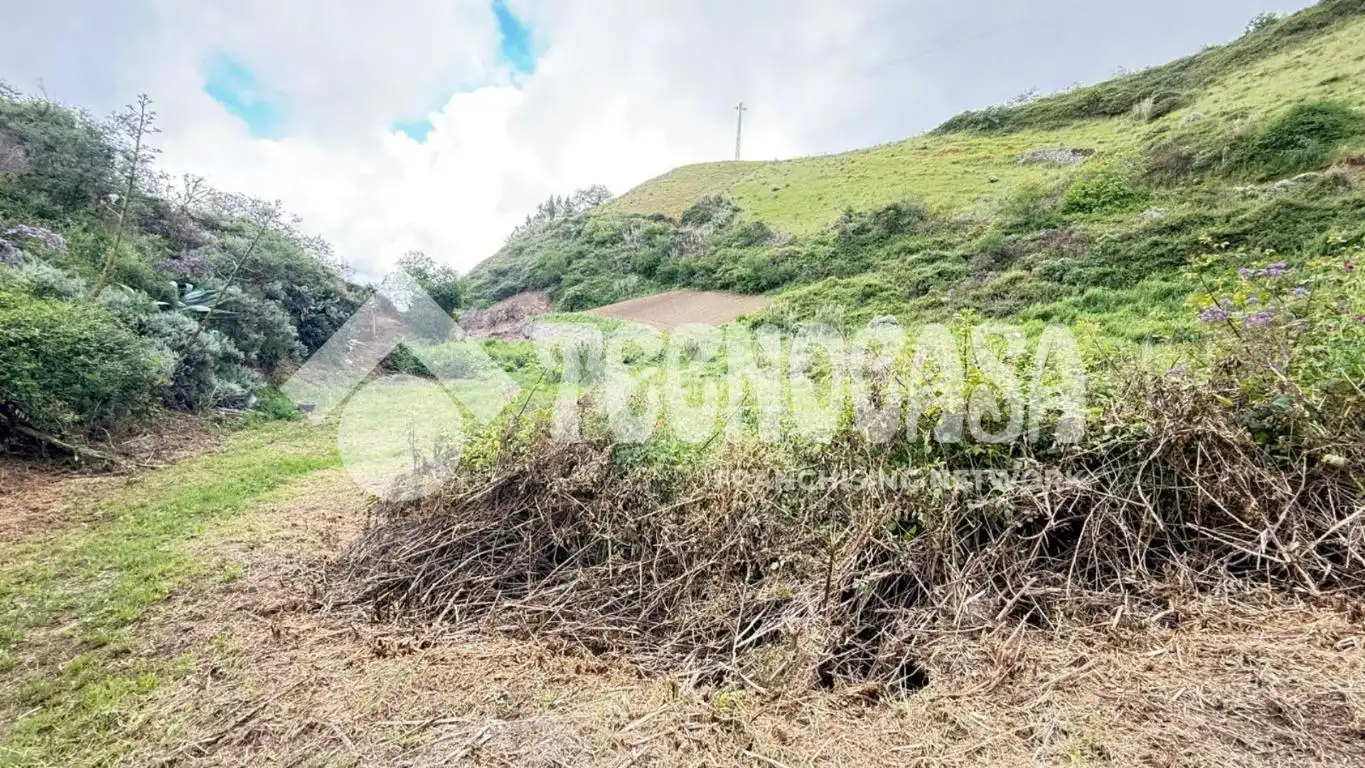 Terreno en venta en Moya (Las Palmas)