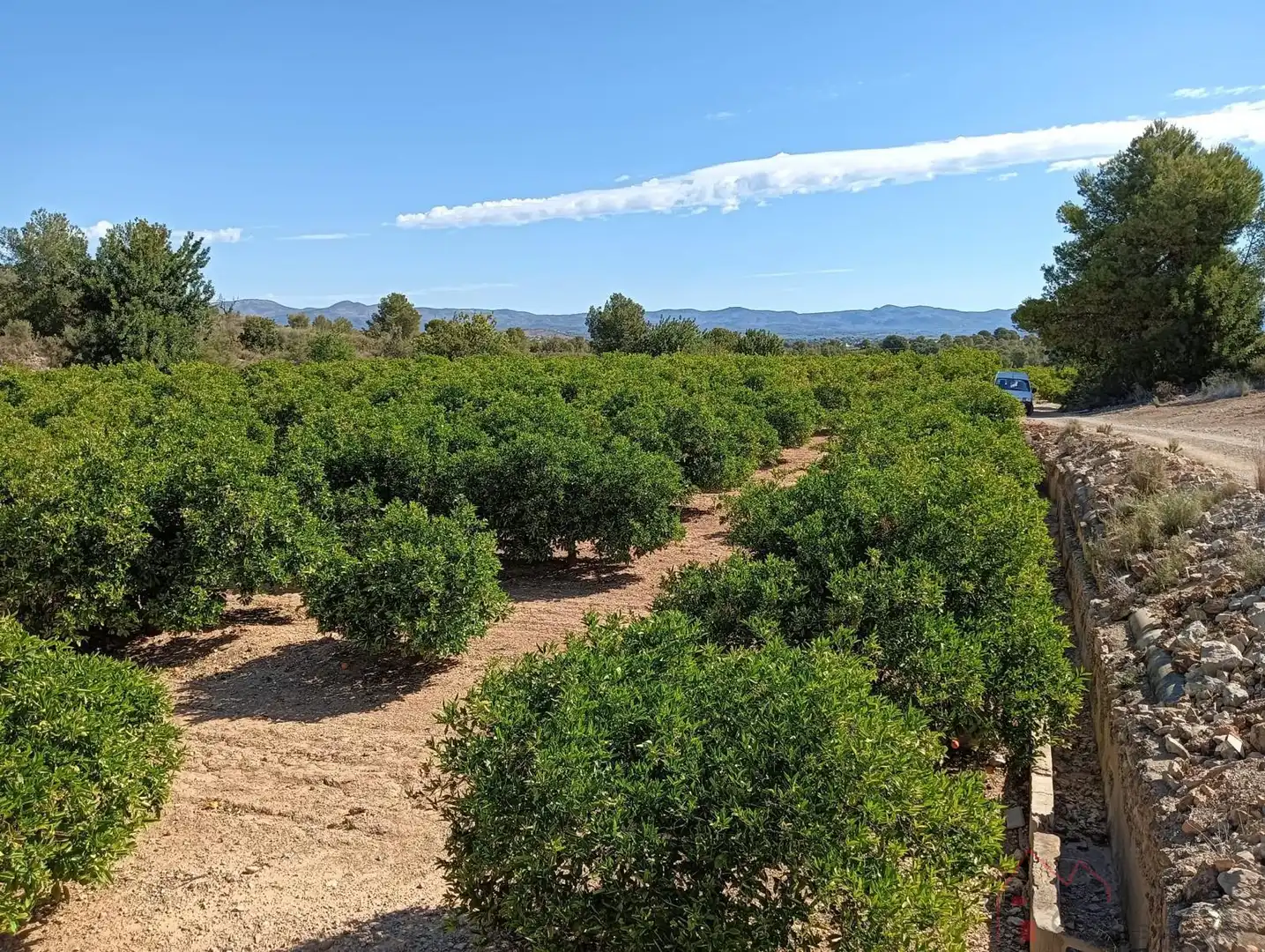 Terrenos y solares en venta en Pedralba