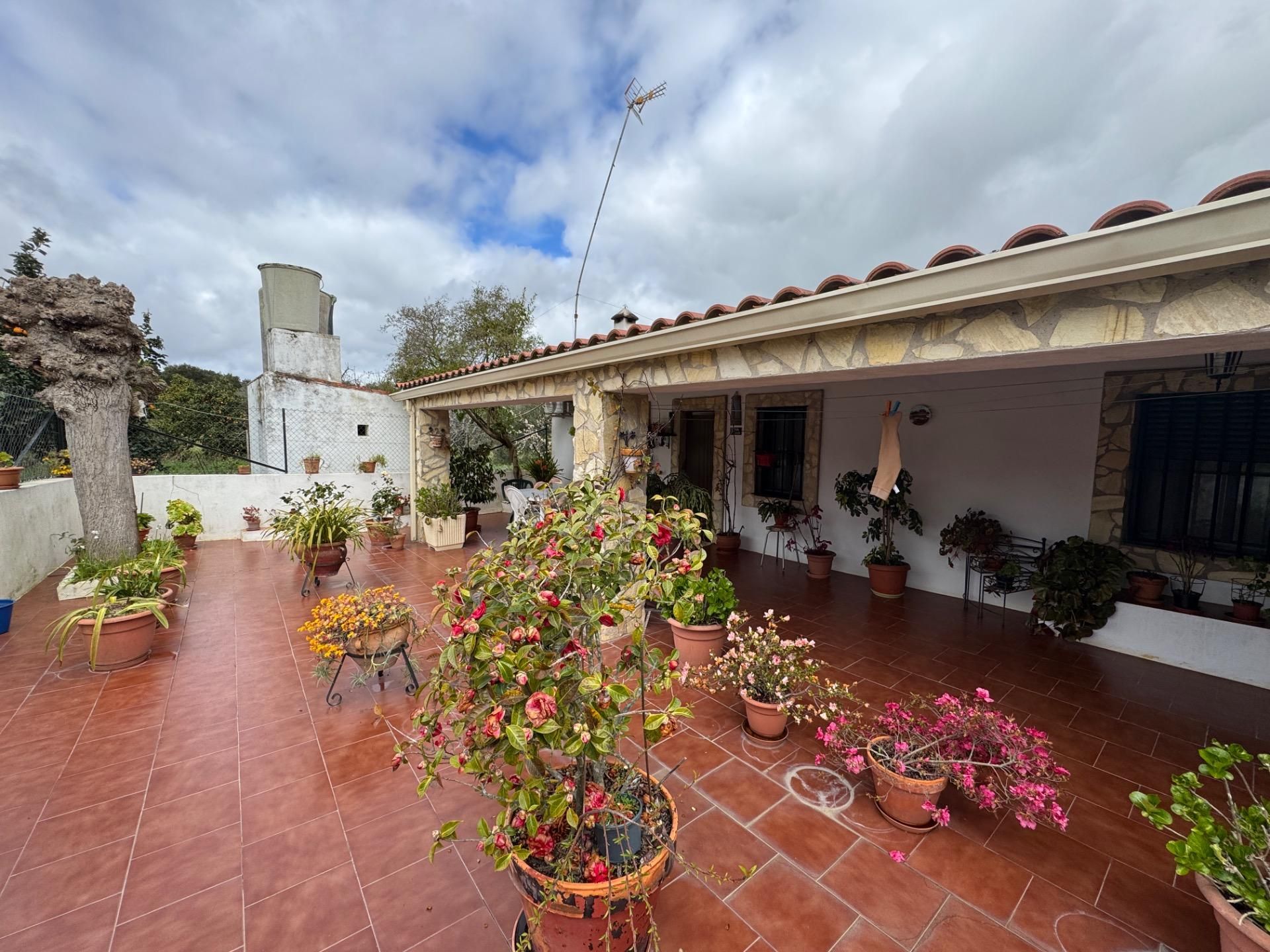 Exterior view of Country house for sale in San Vicente de Alcántara  with Private garden and Terrace