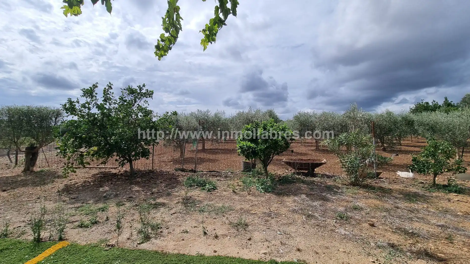 Country house for sale in Campanet, imagen 10