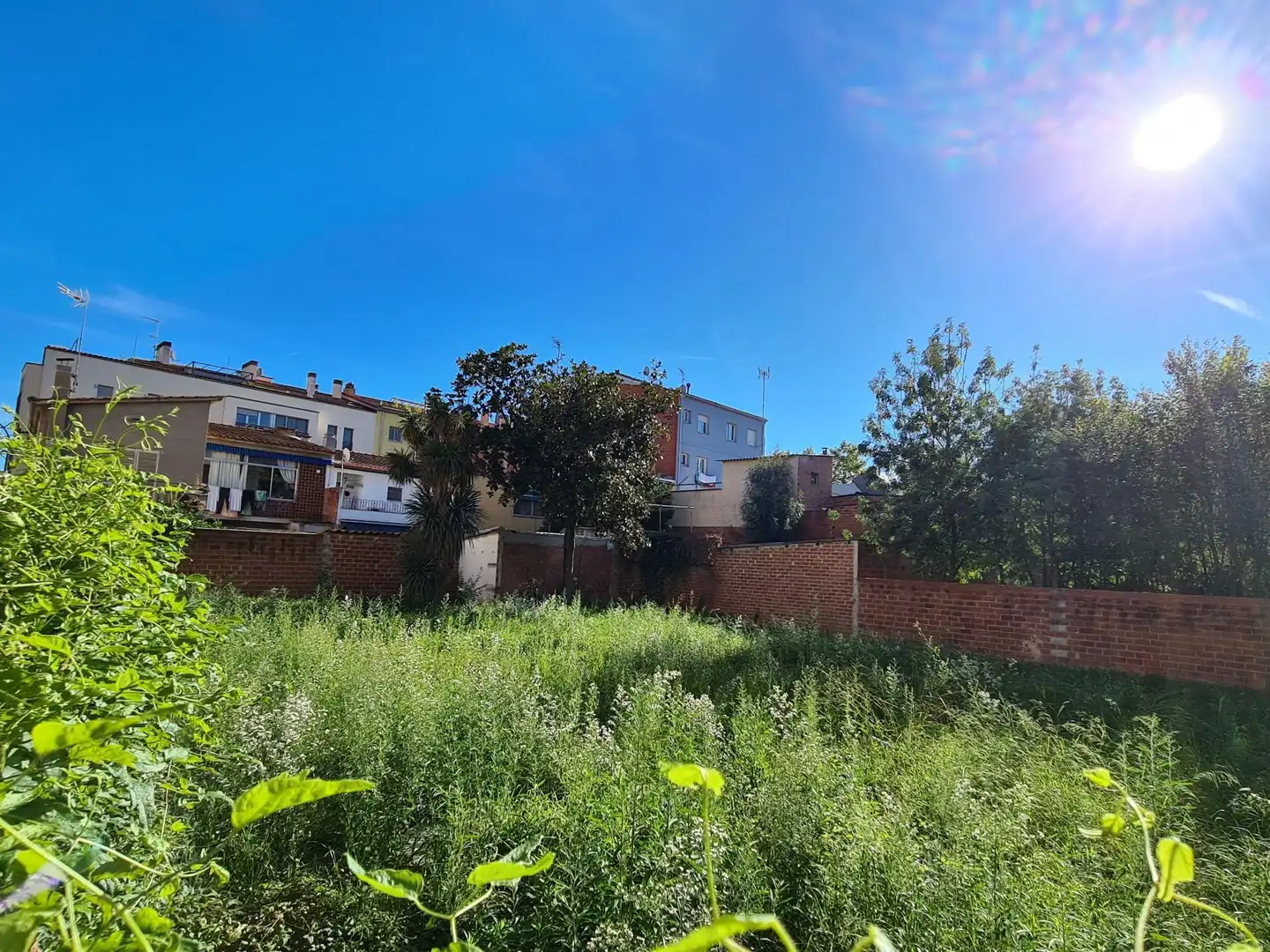 Terrenos y solares en venta en Mas Masó - Hospital, imagen 13