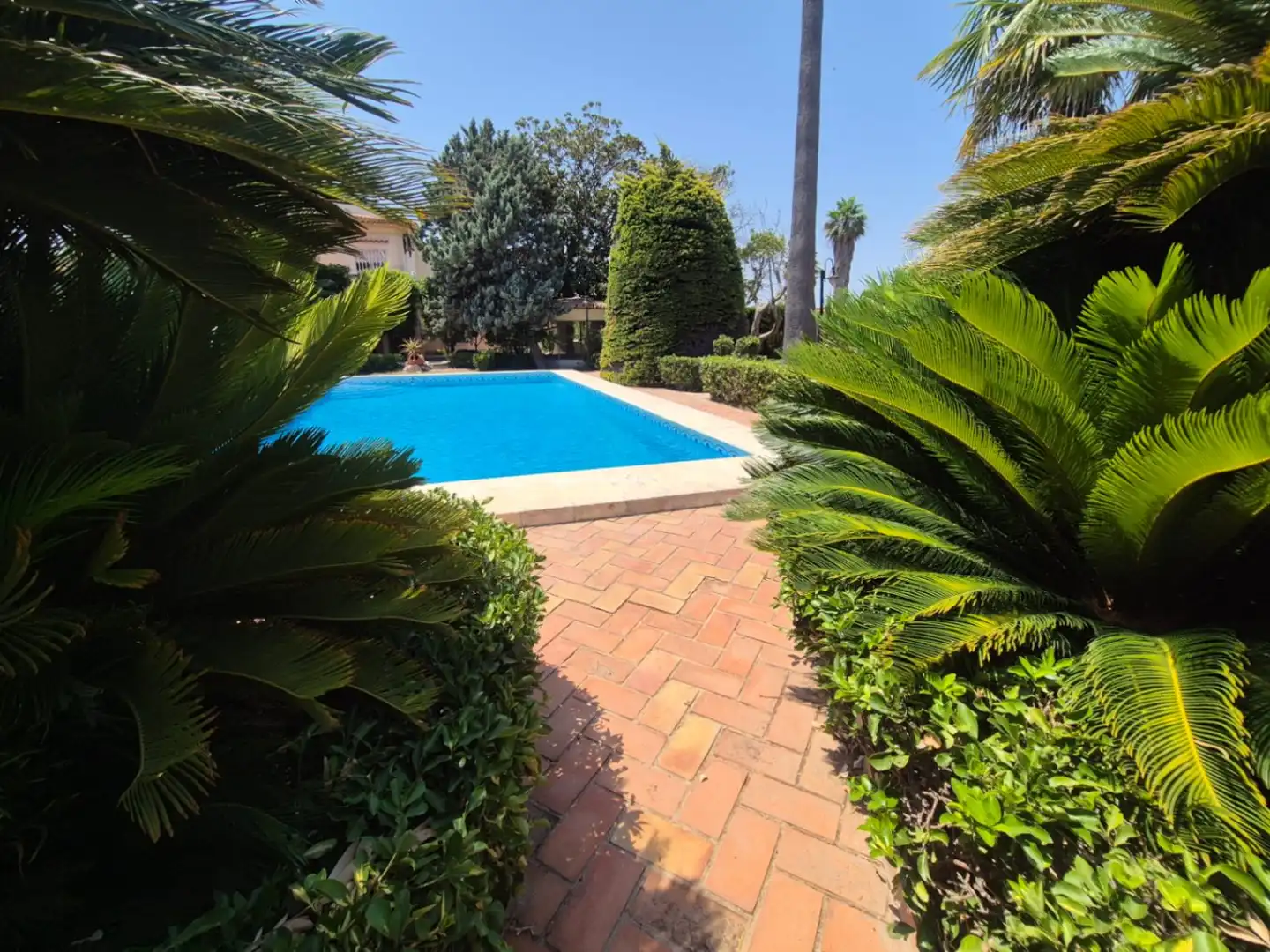 Chalet con piscina en venta en Oliva Playa, imagen 13