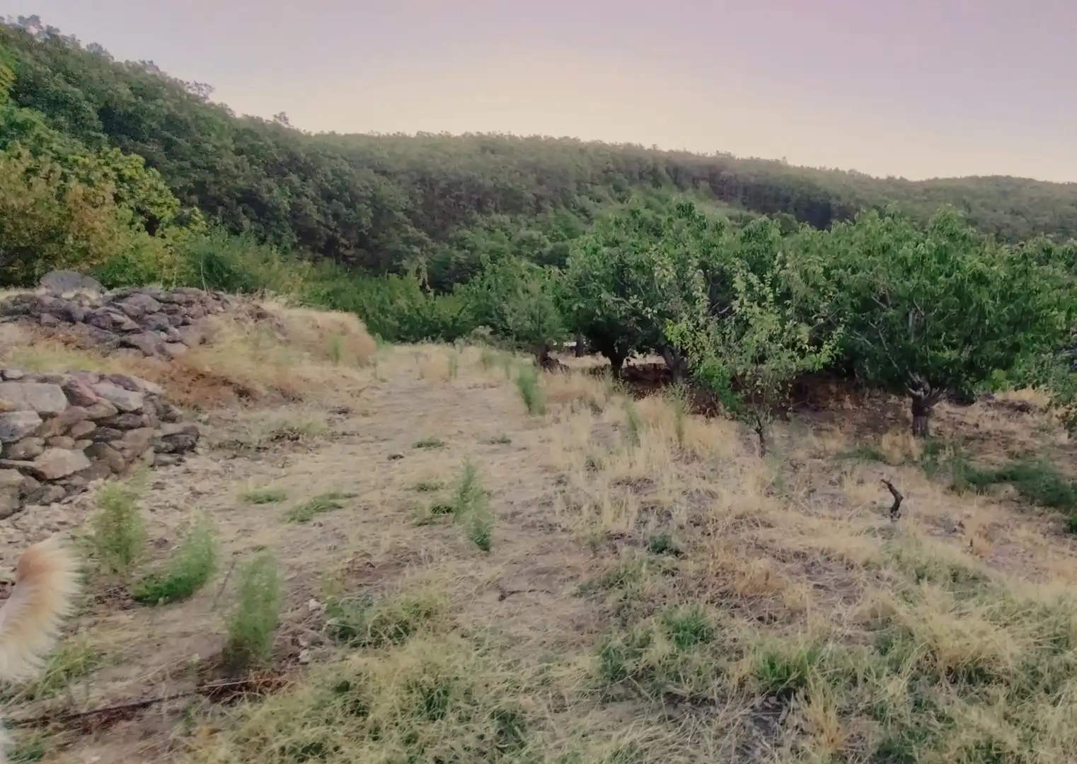 Terrain rustique à vendre à Avenida Extremadura 72, imagen 17