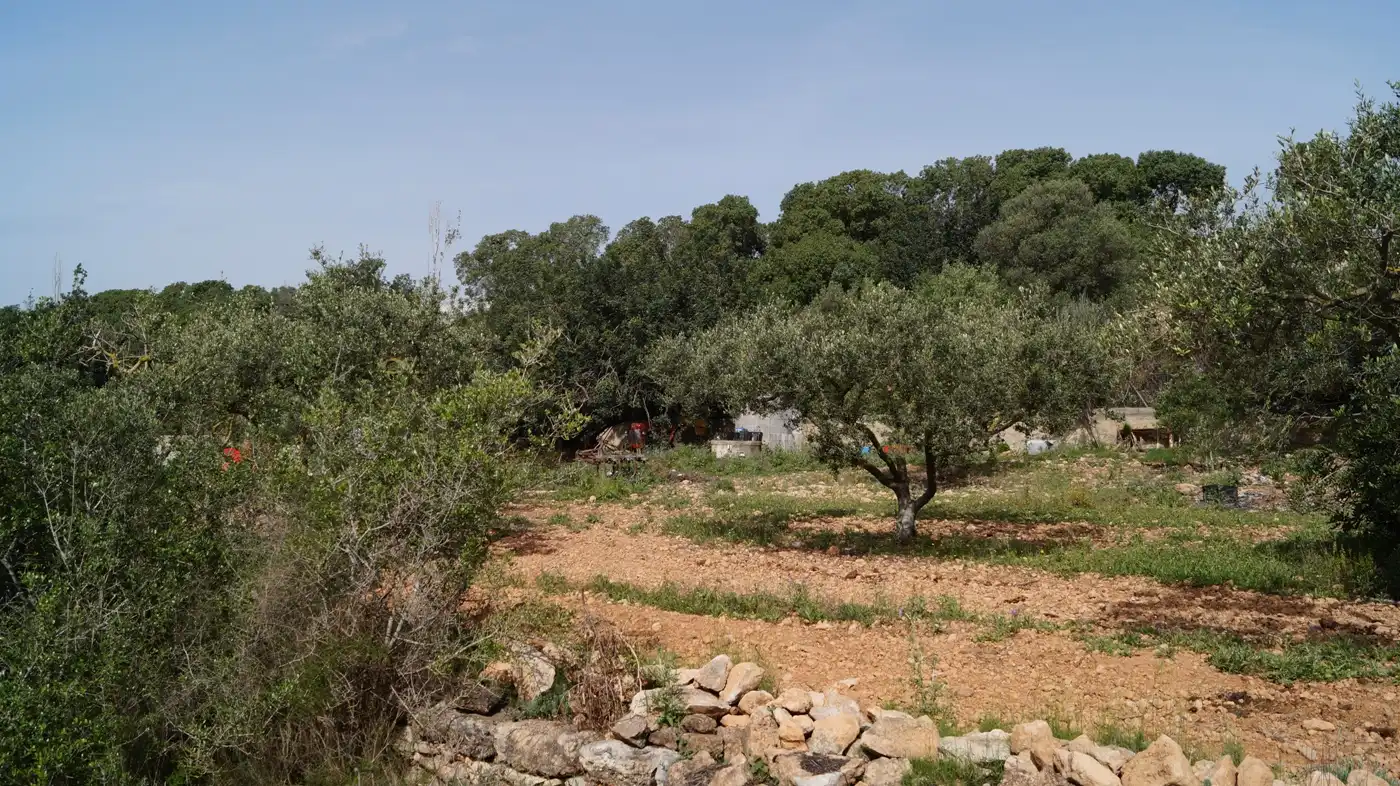 Terreno en venta en Torredembarra