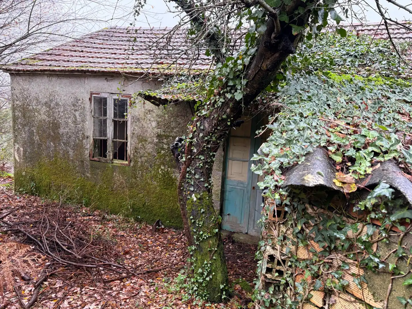 Vista exterior de Casa o xalet en venda en Covelo amb Jardí privat