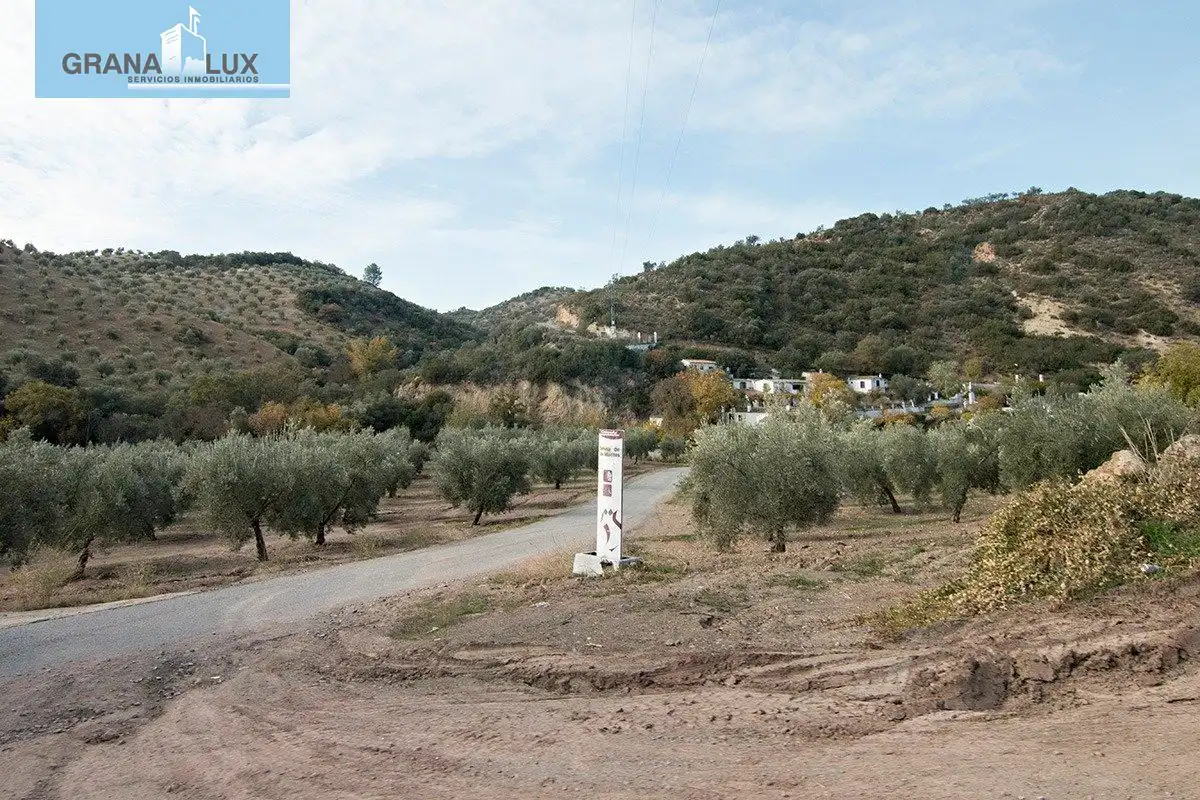 Country homes for sale in Loja