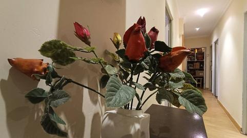 Foto 5 de Pis en venda a Vitoria, Gamonal - San Bruno - G9, Burgos