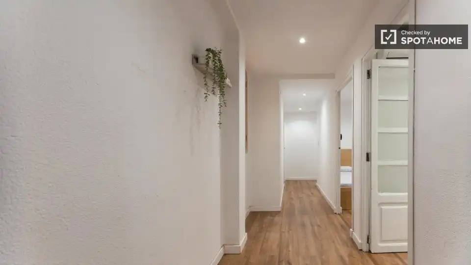 Room in Juzgados