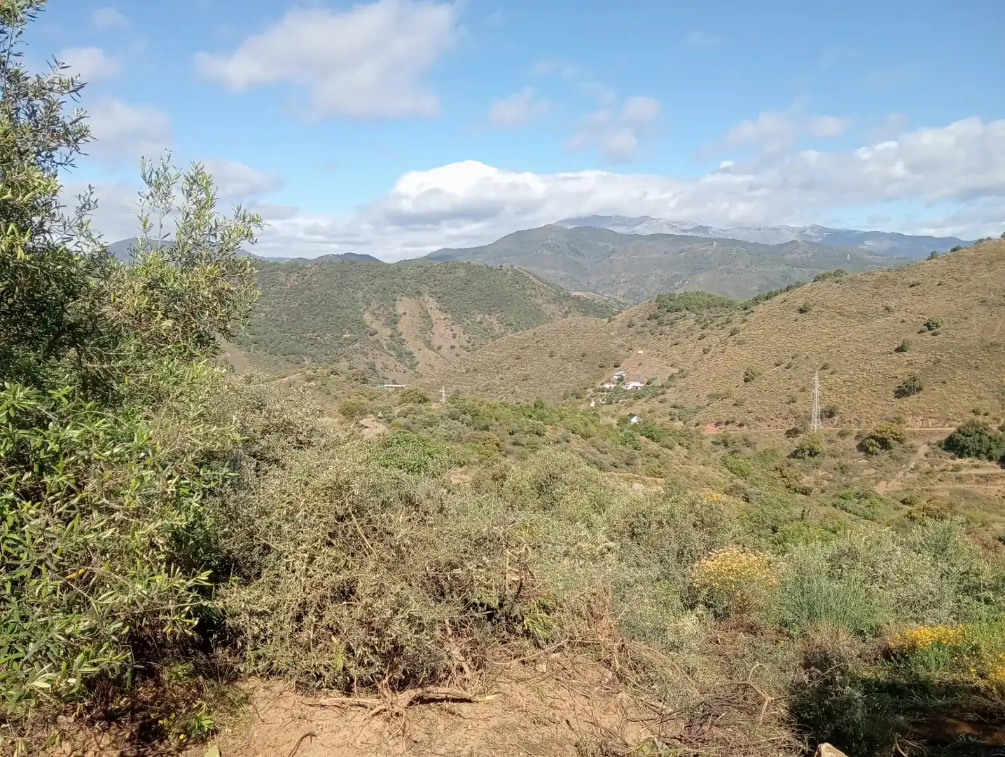 Terreno rustico in vendita a Monda, imagen 11