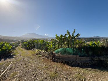 Country house for sale in La Guancha