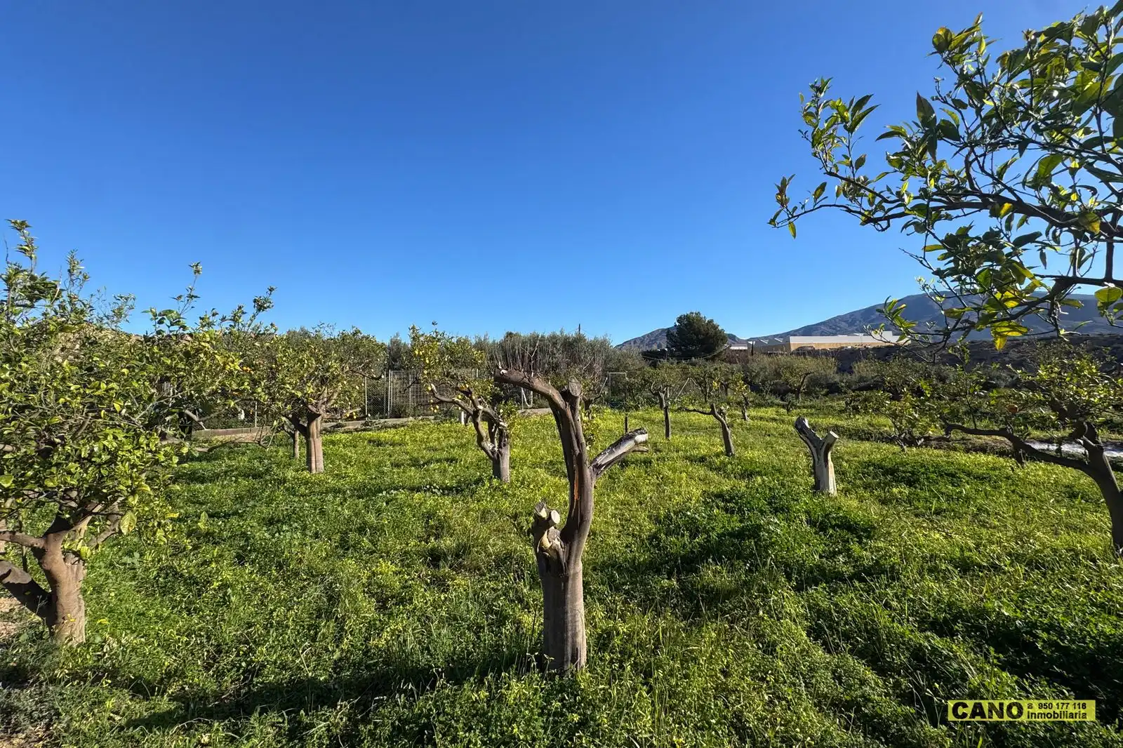Casa o xalet en venda a a Paulenca/ Paraje Aneal , Gádor