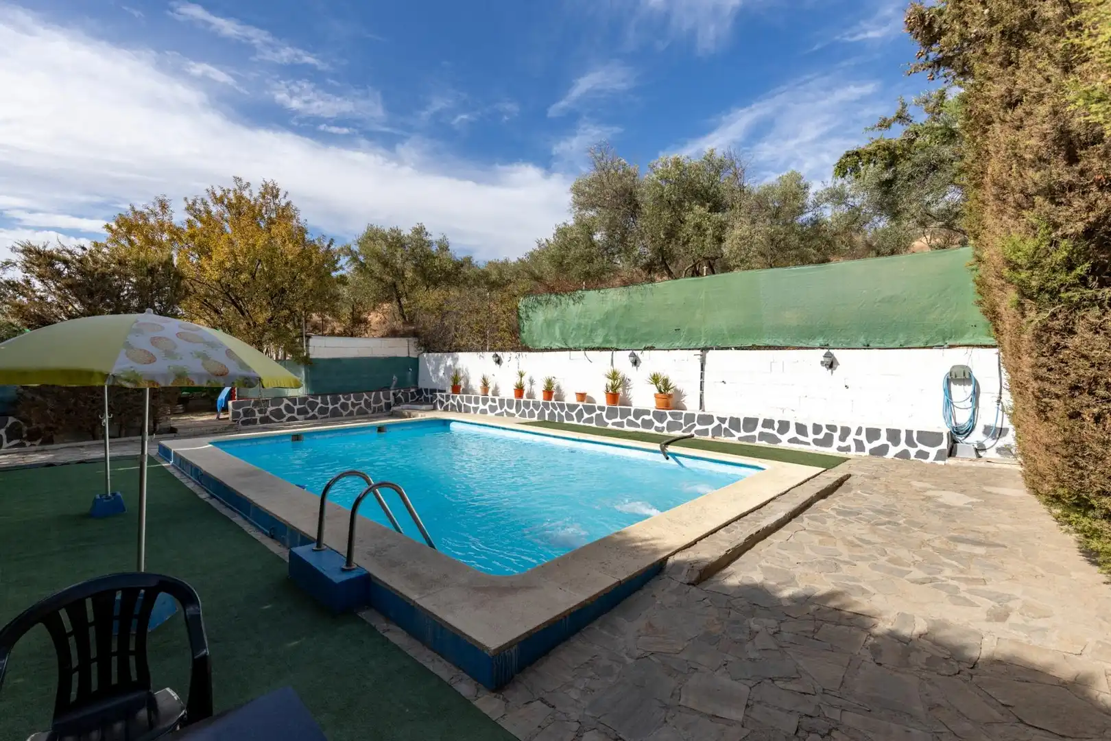 Piscina de Finca rústica en venta en Cogollos de la Vega con Jardín privado y Piscina