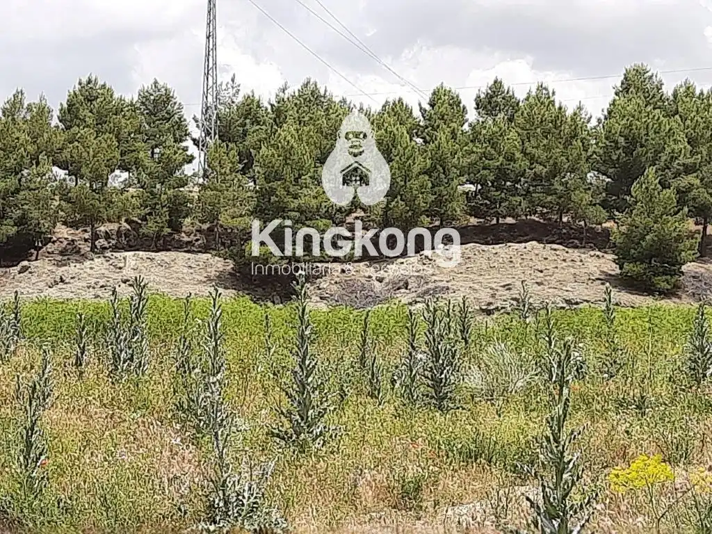 Terreno rustico in vendita a 6, imagen 2