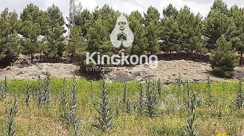 FINCA RUSTICA PARA CENTRO HIPICO, EN VENTA EN LOECHES., immagine 2
