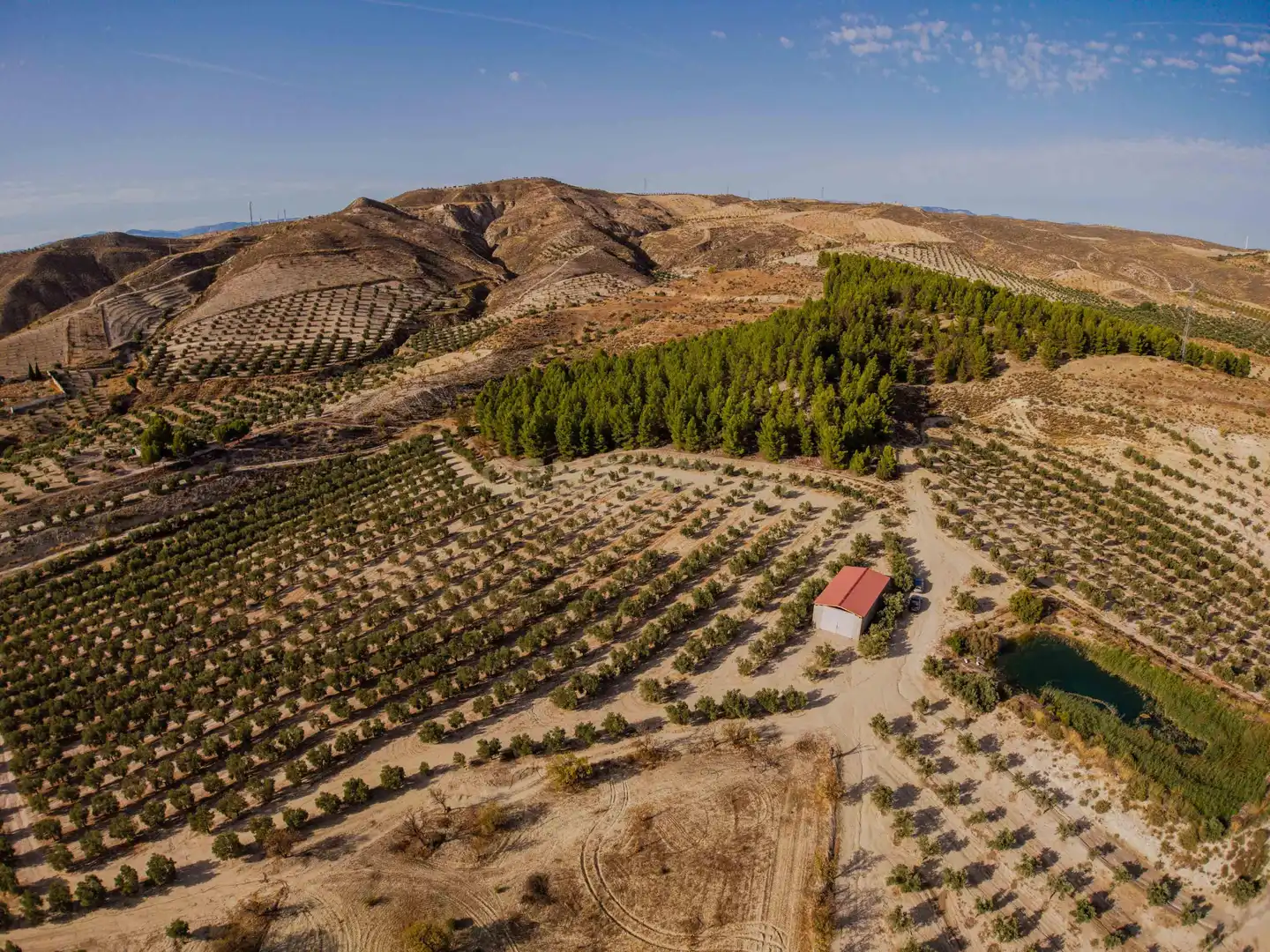 Terreno rústico en venta en 472M+GF La Malahá, Spain, imagen 12