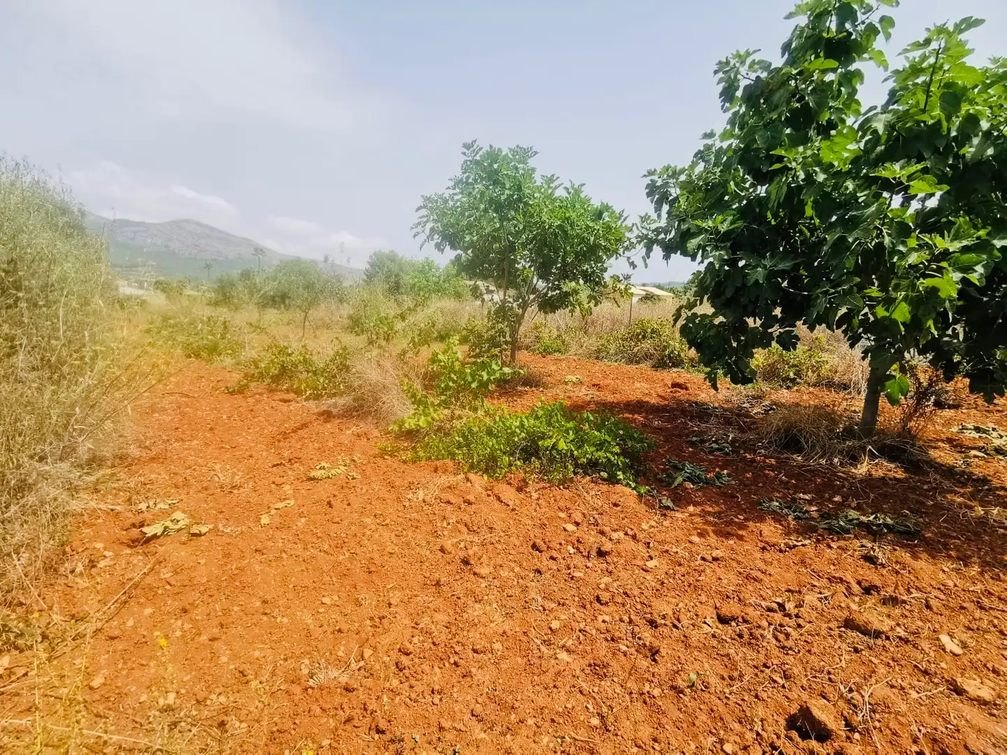 Villa avec jardin à vendre à Xaló, imagen 13