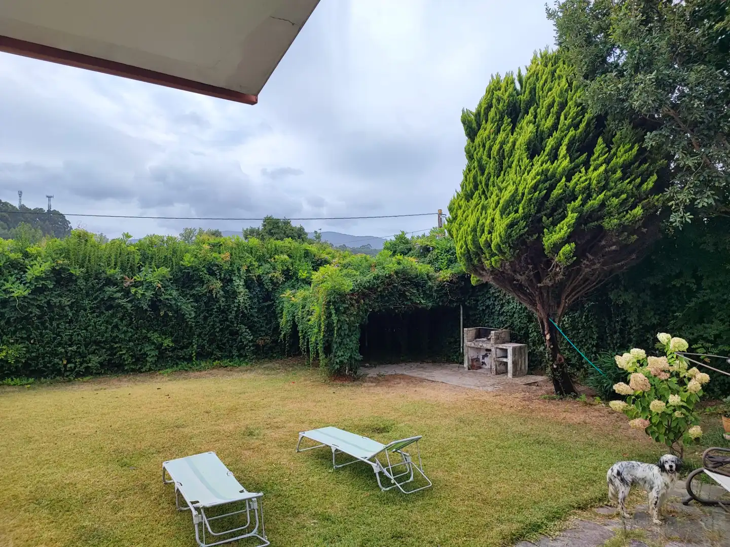 Jardí de Casa o xalet en venda en Nigrán amb Jardí privat, Terrassa i Moblat