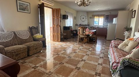 🌿 Finca rústica con vivienda, piscina y plantaciones de aguacate y mango 🥑🥭, imagen 2