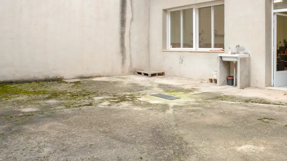 Mixed residential for sale in Centro, imagen 5