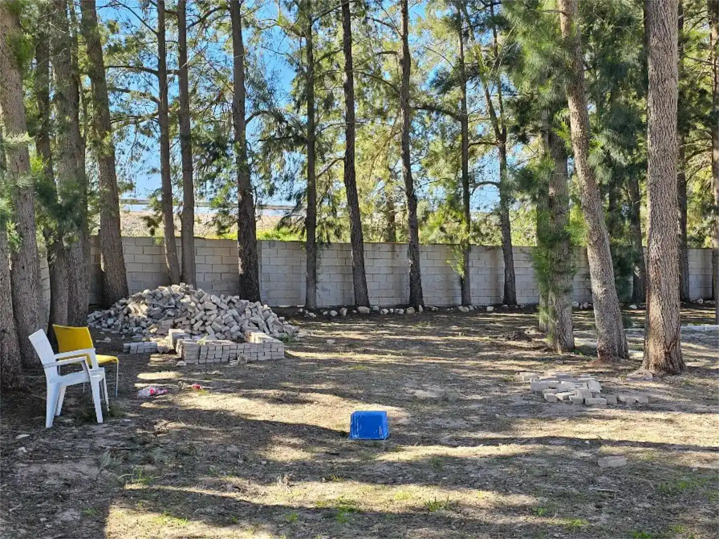 Pis en venda en Oliva amb Jardí privat