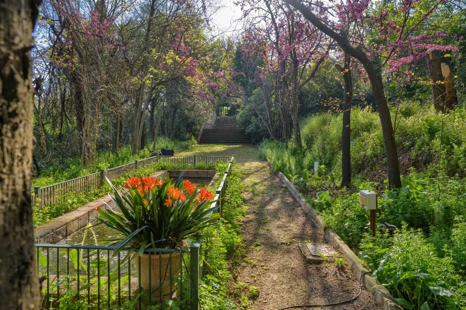 Jardí de Casa o xalet en venda en Sanlúcar la Mayor amb Aire condicionat, Jardí privat i Terrassa