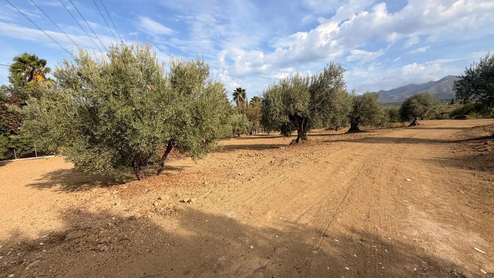 Rural land for sale in El Romeral - Peñón de Zapata, imagen 15
