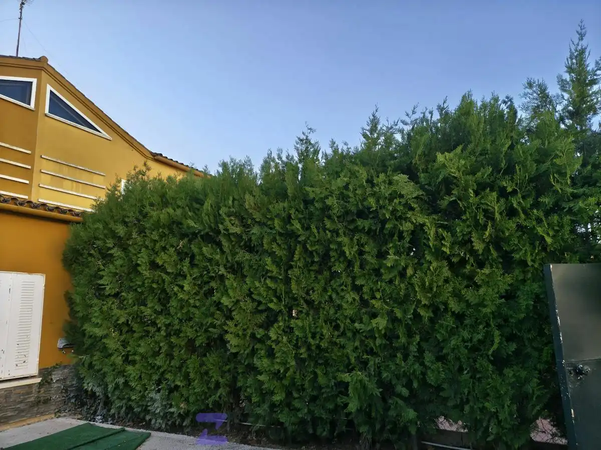 Casa o xalet de lloguer en Minas de Riotinto, Huelva