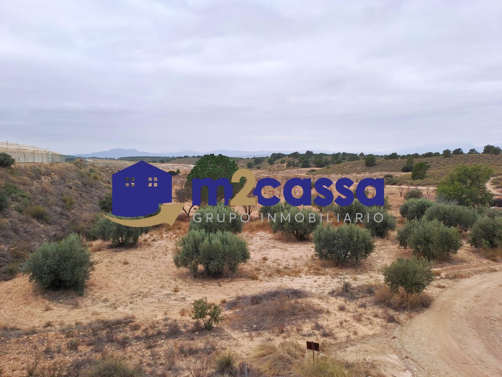 Finca rústica en venda en Aledo amb Terrassa