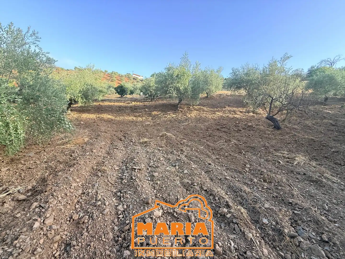 Terreno rustico in vendita a Almogía, imagen 15