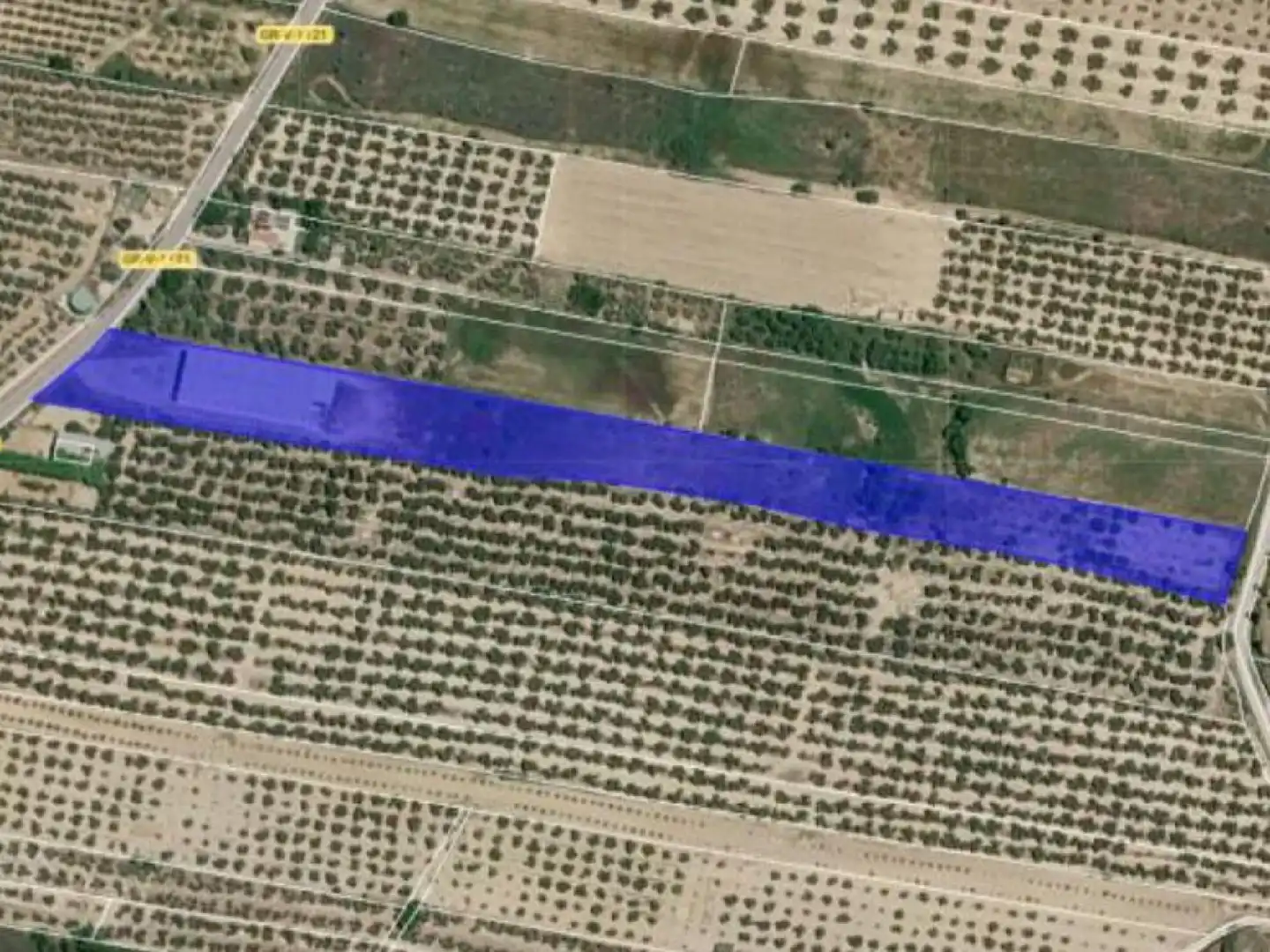 Industrial building for sale in Chauchina, imagen 6