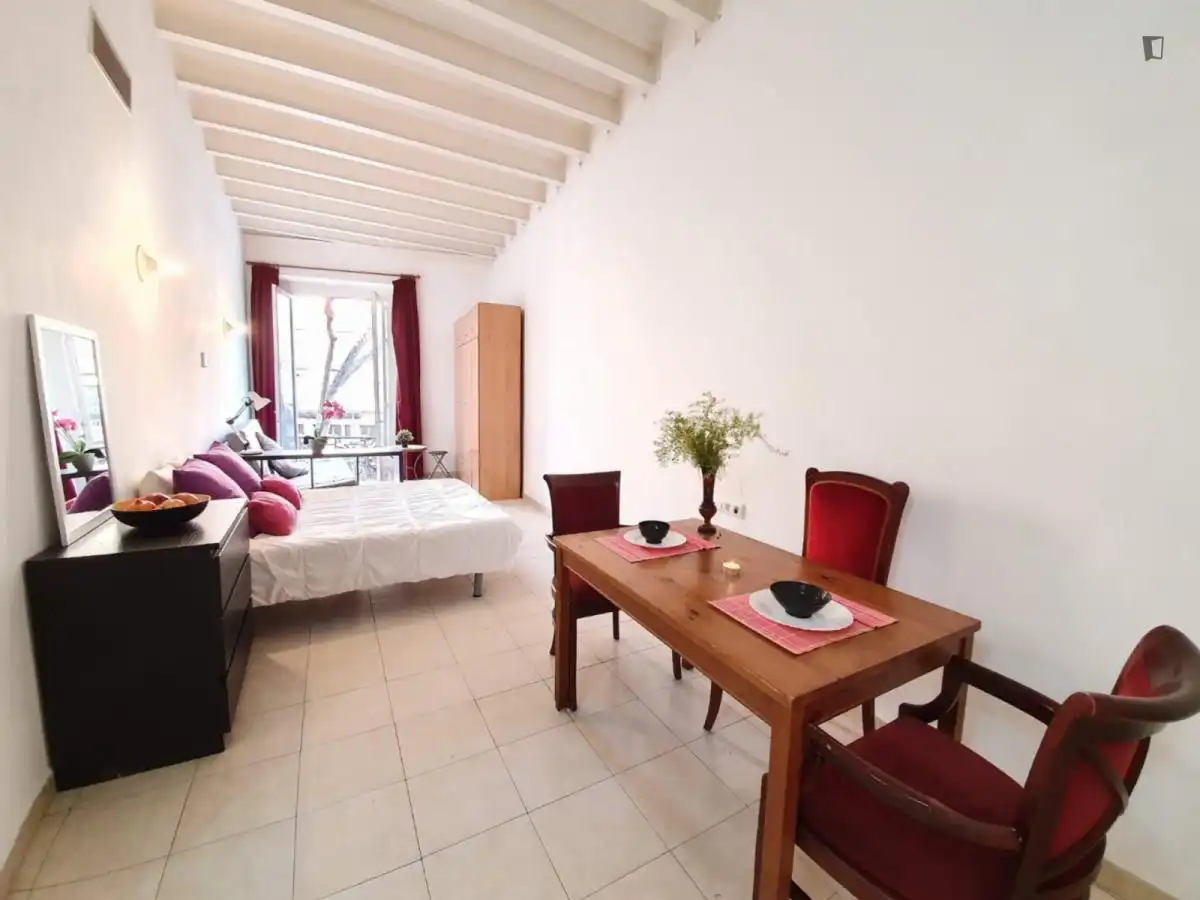 Studio zur Miete in Ciutat Vella