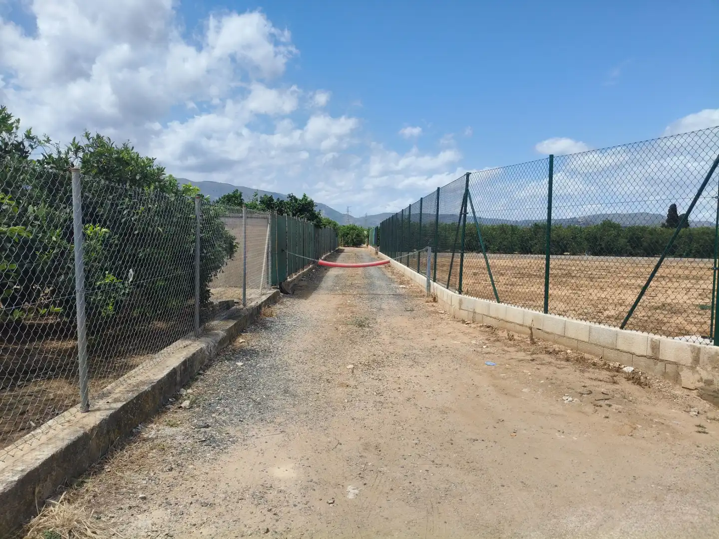 Rural land for sale in Partida Pla 42, imagen 3