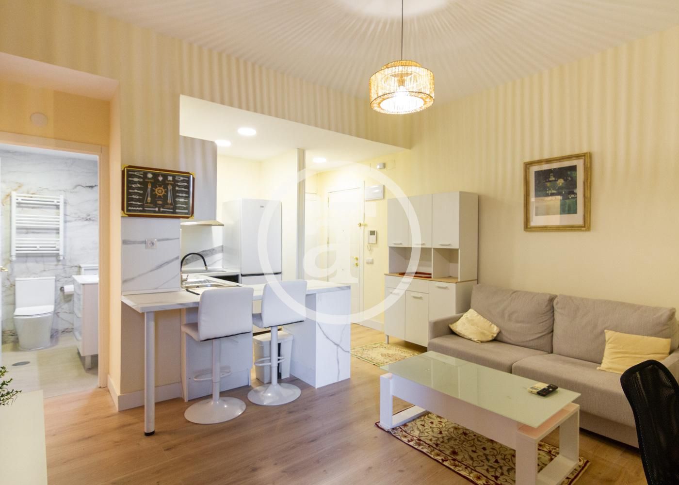 Living room of Flat to rent in  Madrid Capital  with Air Conditioner, Heating and Furnished