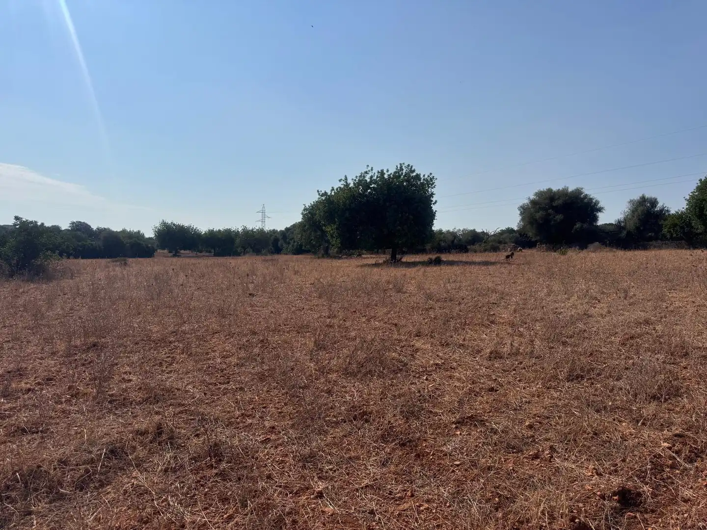 Terreny rústic en venda a Zona Periurbana